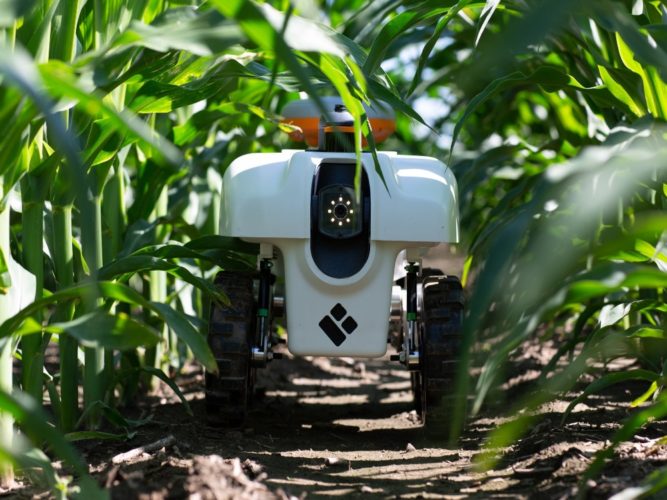 Web00TB FARMBOTS1 SuperJumbo